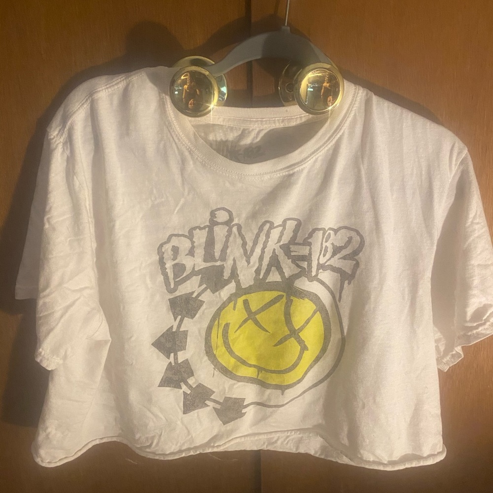 Blink-182 Crop top